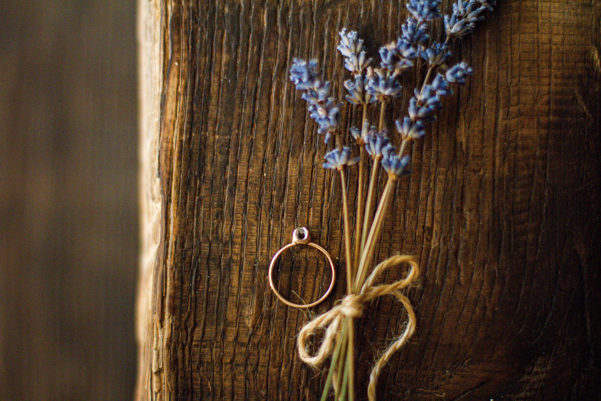 Özel Gün & Tematik Turlar